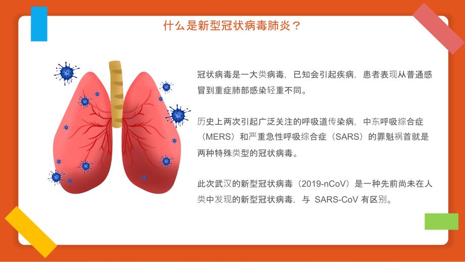 什么是新型冠状病毒肺炎科普讲座PPT模板(图文)_第4页