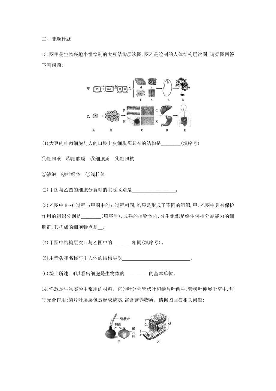 泰安地区中考生物第一部分基础过关第3课时细胞怎样构成生物体复习练习_第5页