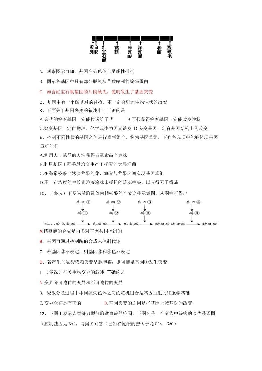 江苏高考生物一轮复习活动单18_第5页