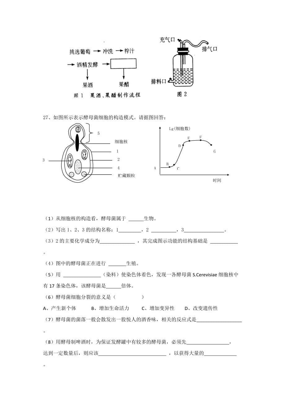 江苏高中生物选修一苏教版：1.1 果酒和果醋的制作 作业_第5页