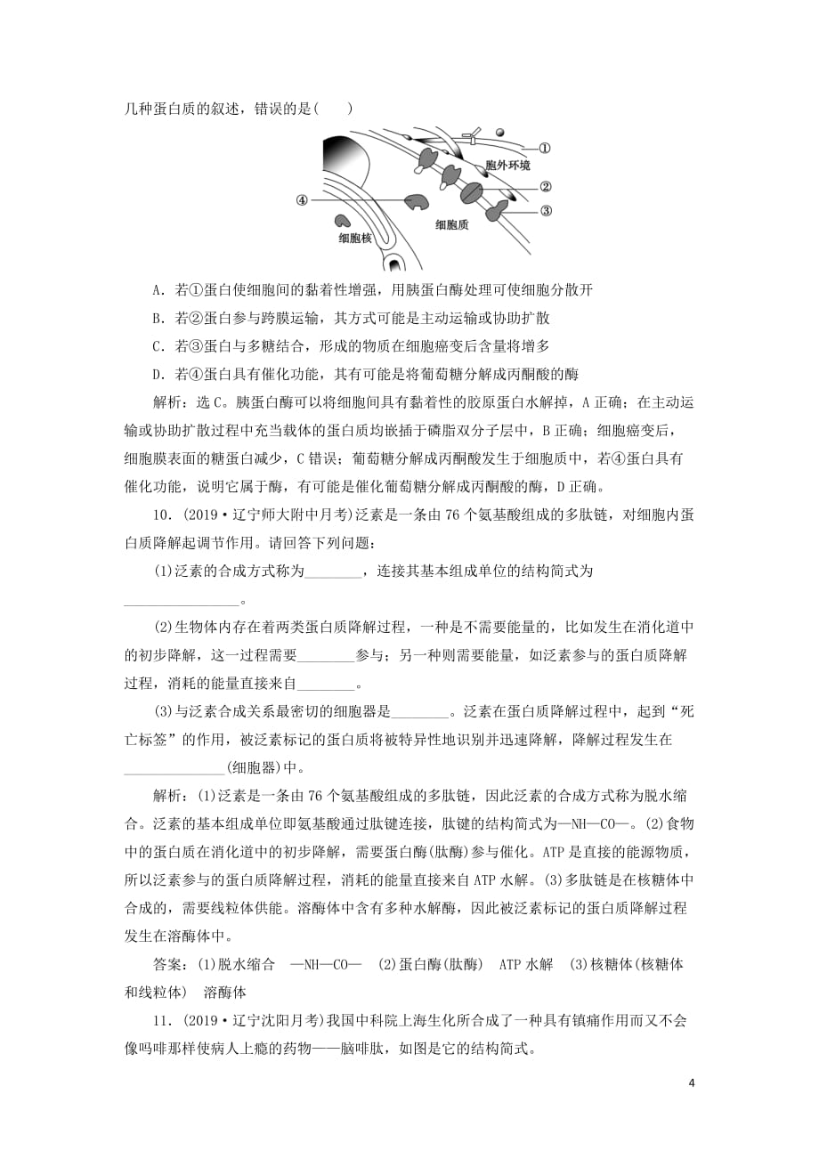 （人教通用版）高考生物新探究大一轮复习第3讲生命活动的主要承担者——蛋白质a检测（含解析）_第4页