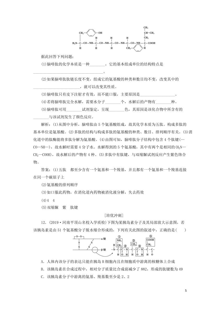 （人教通用版）高考生物新探究大一轮复习第3讲生命活动的主要承担者——蛋白质a检测（含解析）_第5页