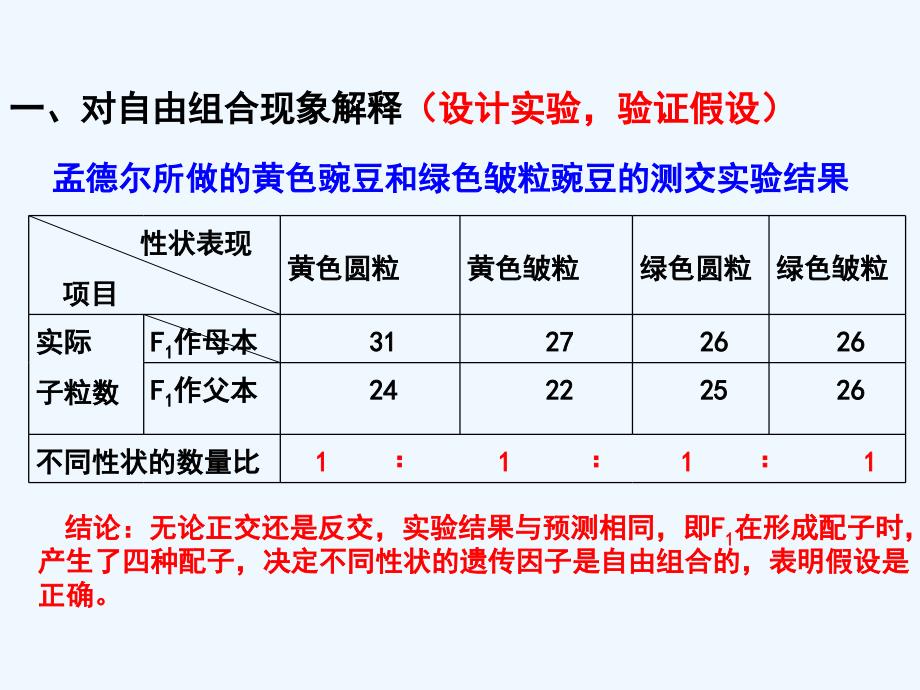 人教版高中生物必修2第1章第2节孟德尔的豌豆杂交实验（二）第2课时 课件 （共12张PPT）_第3页