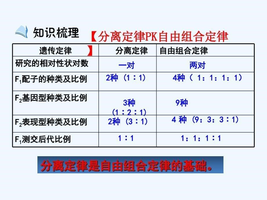 人教版高中生物必修2第1章第2节孟德尔的豌豆杂交实验（二）第2课时 课件 （共12张PPT）_第5页