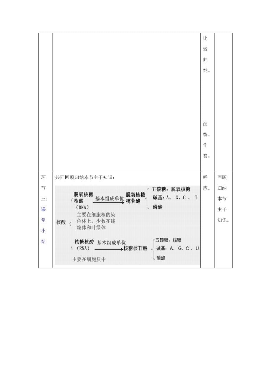 人教版高中生物必修1第2章第3节遗传信息的携带者—核酸（教案）_第5页