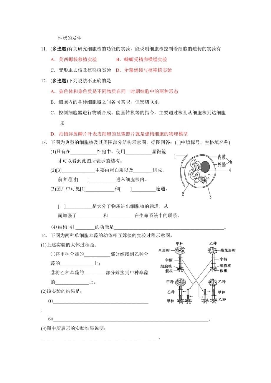 广东省中山市高中生物必修一导学案：1.3.3细胞核——系统的控制中心_第5页