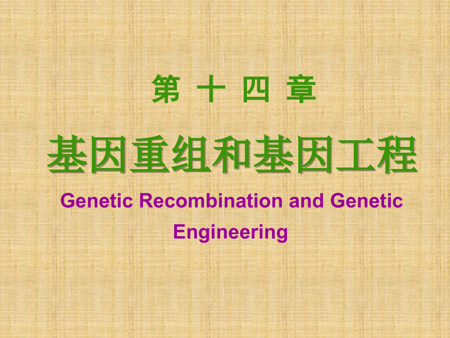 精编制作基因表达和基因重组PPT课件_第1页