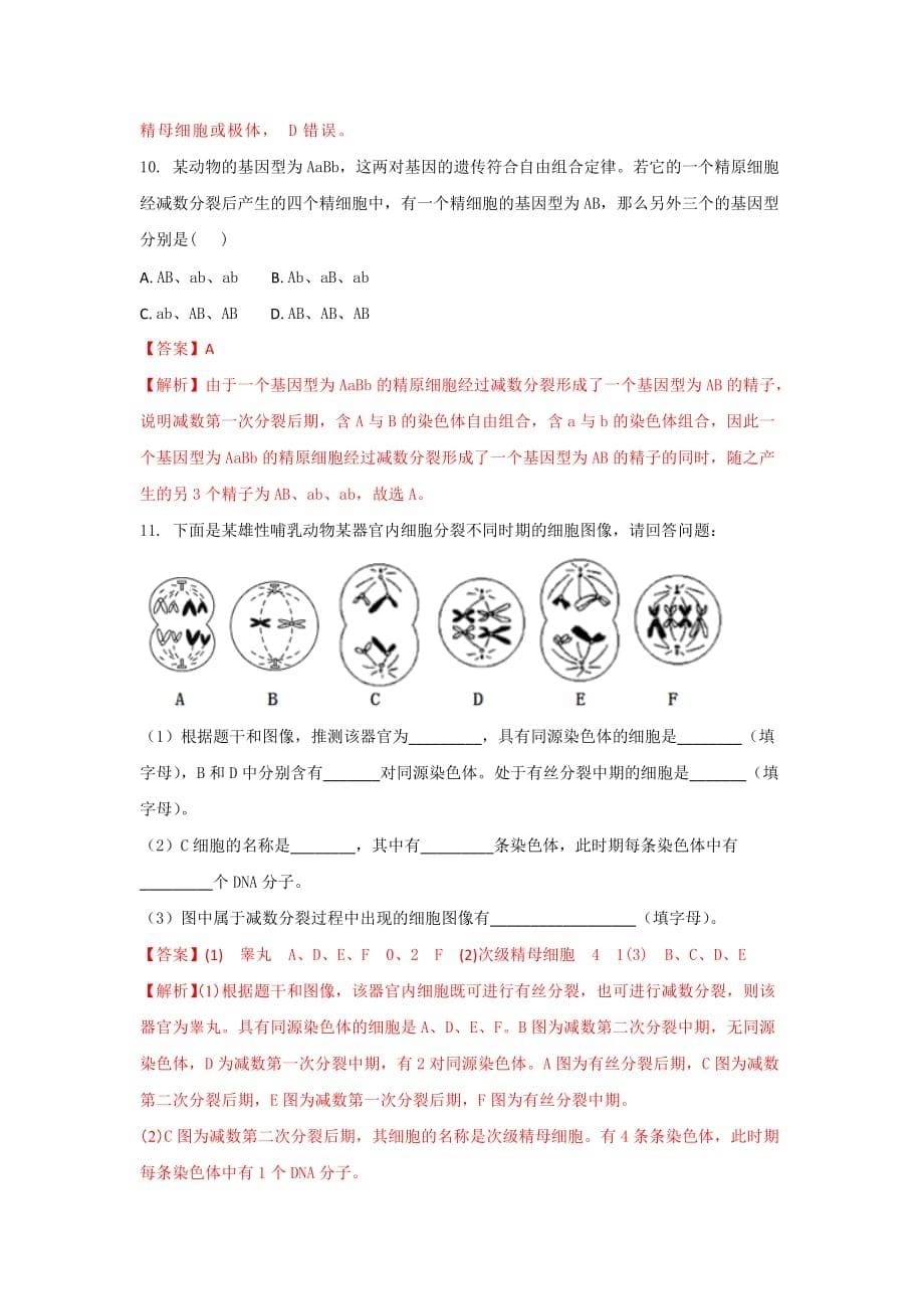 人教版高中生物必修2 第2章第1节减数分裂和受精作用第2课时（练）（教师版）_第5页