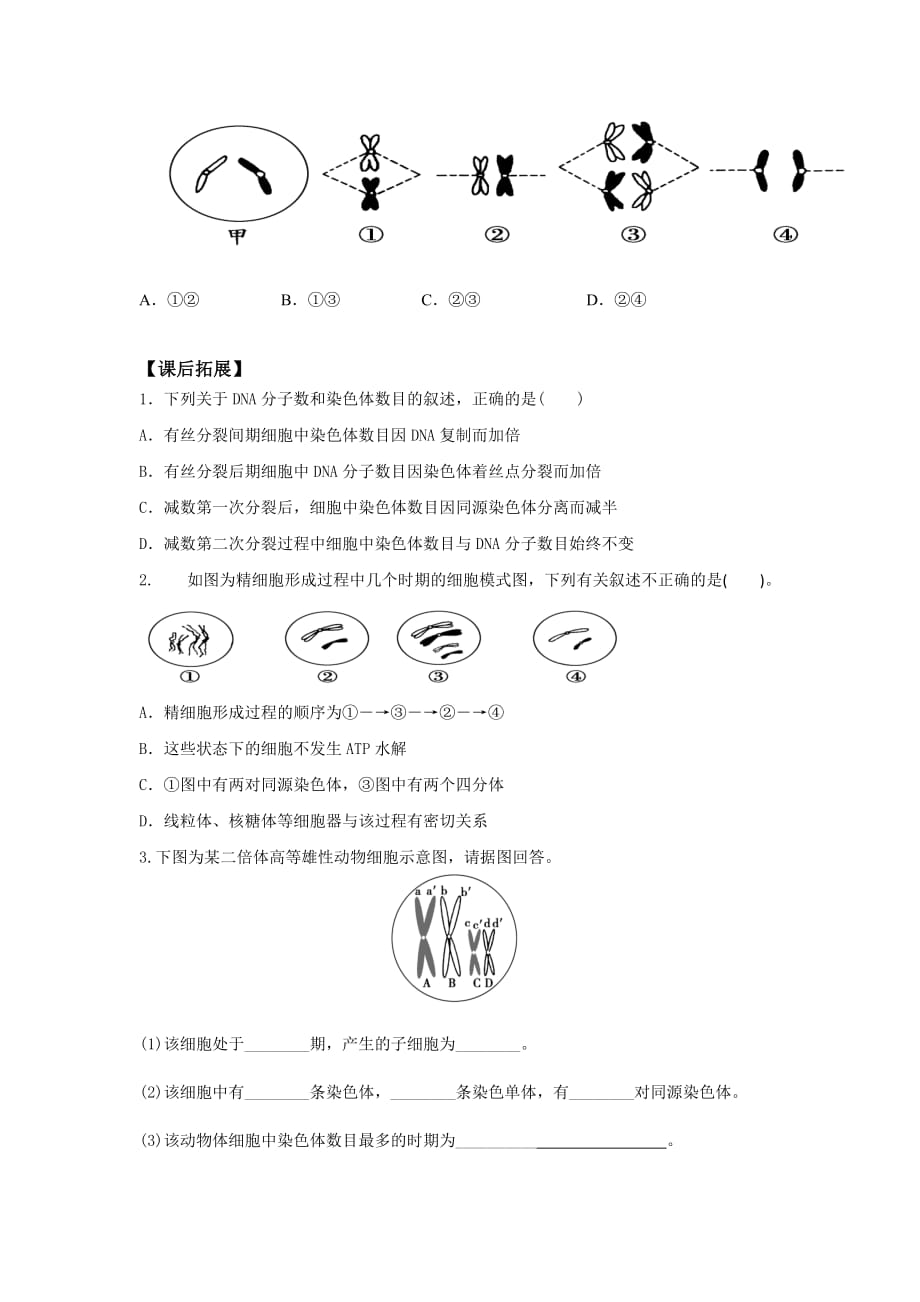 广东省惠阳区中山中学2015-学年高中生物导学案：必修2 2-1-1减数分裂（李丽文）_第4页