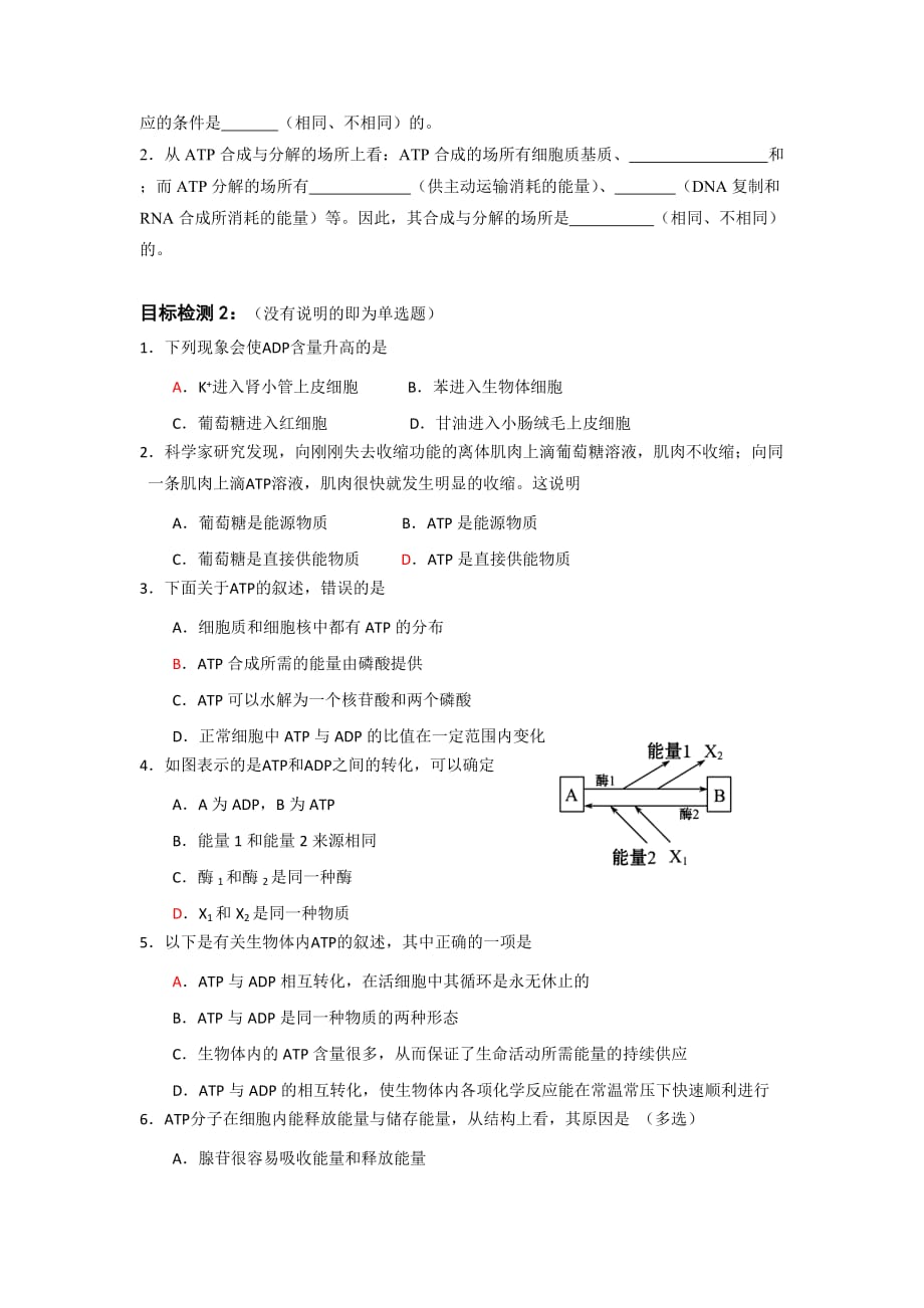 广东省中山市高中生物必修一导学案：1.5.2细胞的能量通货——ATP_第4页