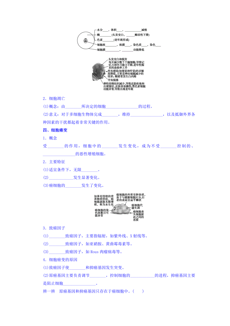 云南省德宏州梁河县第一中学高三生物一轮复习学案：细胞的分化 Word版缺答案_第2页