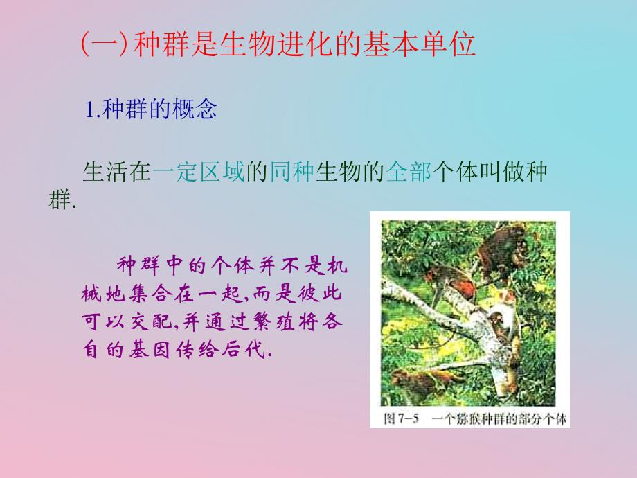 湖南省茶陵县高中生物第七章现代生物进化理论7.2现代生物进化理论主要内容第1课时课件新人教版必修2_第2页