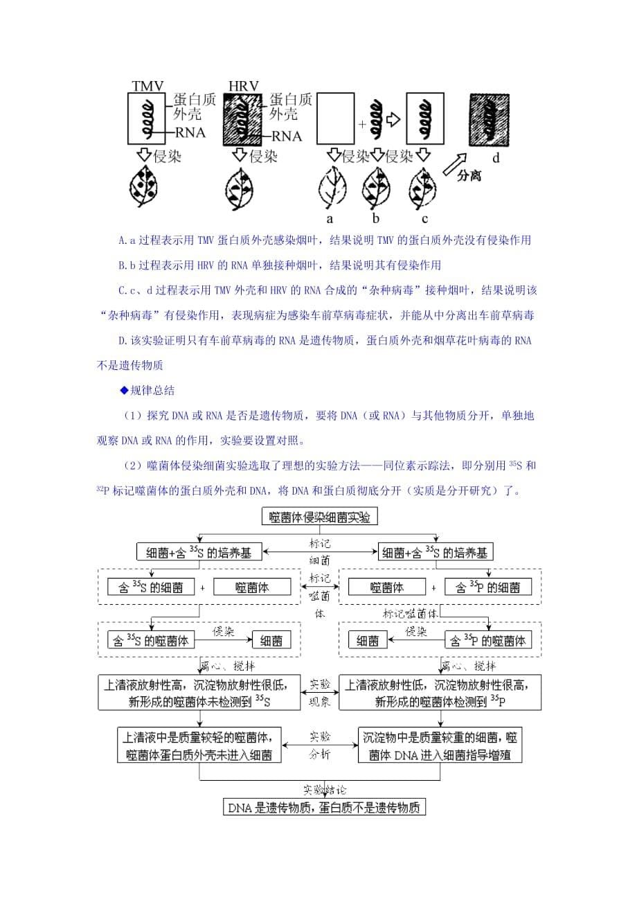 山西省高中生物人教版必修二《3.1 DNA是主要的遗传物质》导学案 Word版缺答案_第5页