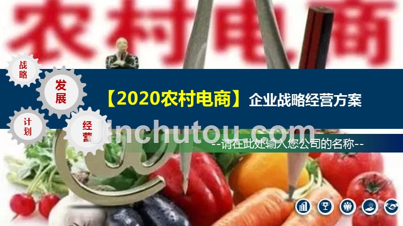2020农村电商企业战略经营方案_第1页
