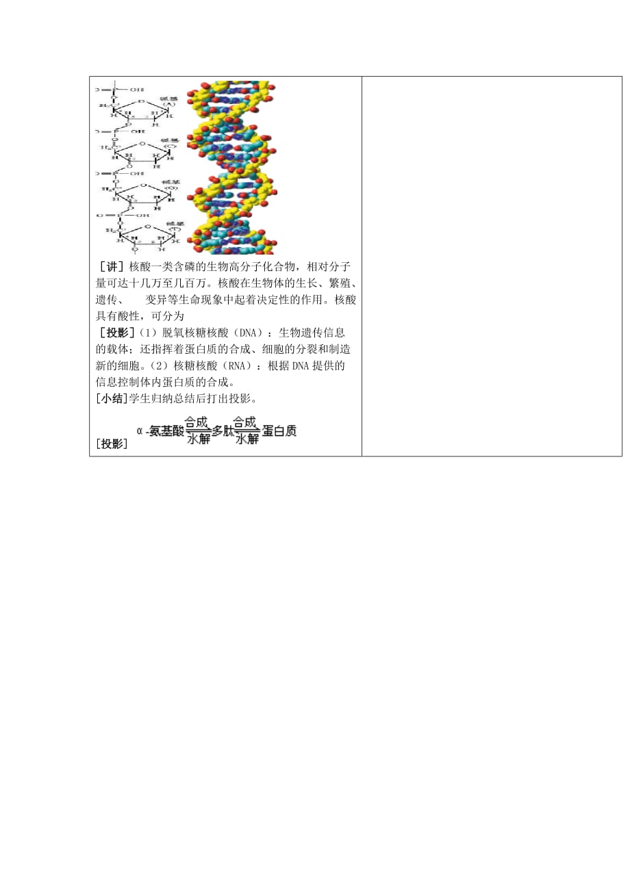 高中化学人教版选修5第四章生命中的基础有机化学物质4.3.2蛋白质和核酸教案_第4页
