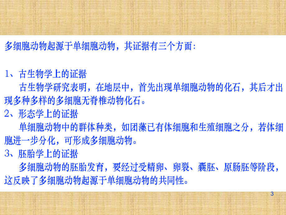 精编制作多细胞、海绵、腔肠动物PPT课件_第3页