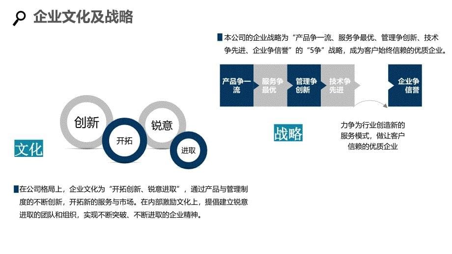 2020体温计行业发展战略与经营计划_第5页