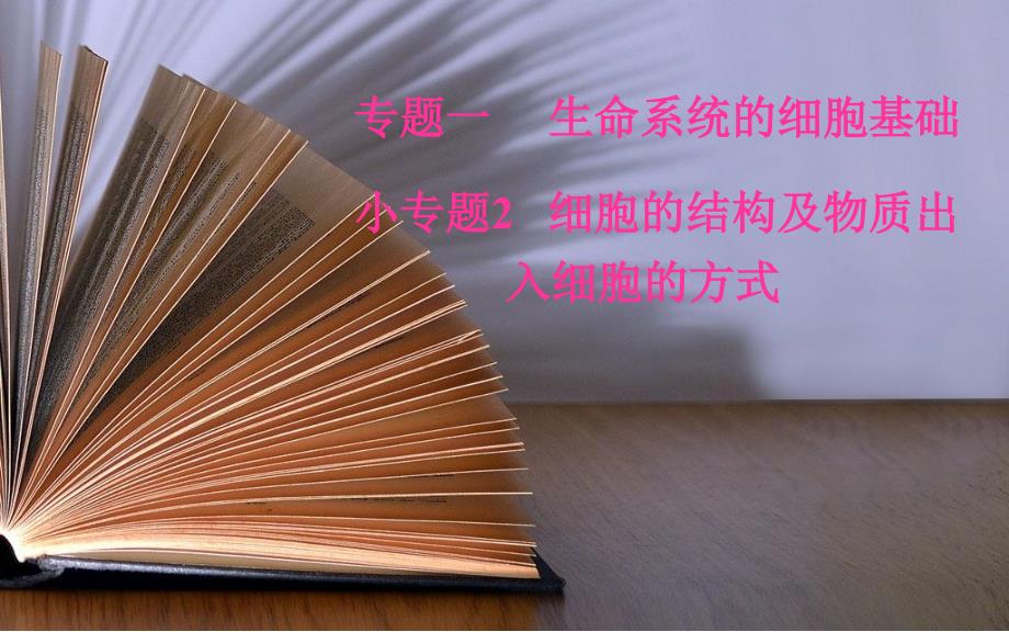 高考生物二轮复习课件：小专题2考点3物质出入细胞的方式及应用_第2页