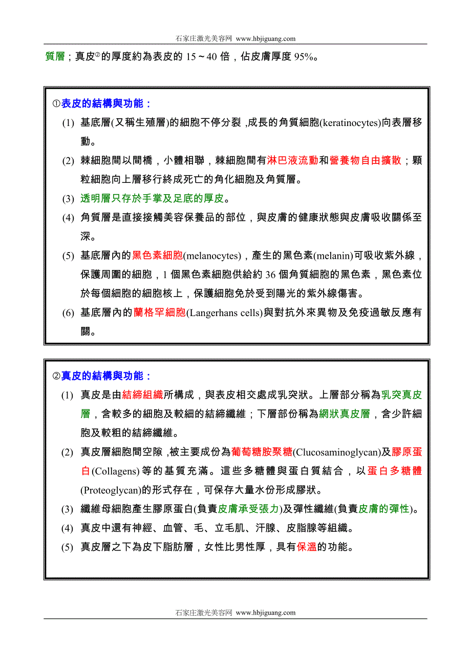 （培训体系）整形美容培训资料_第2页