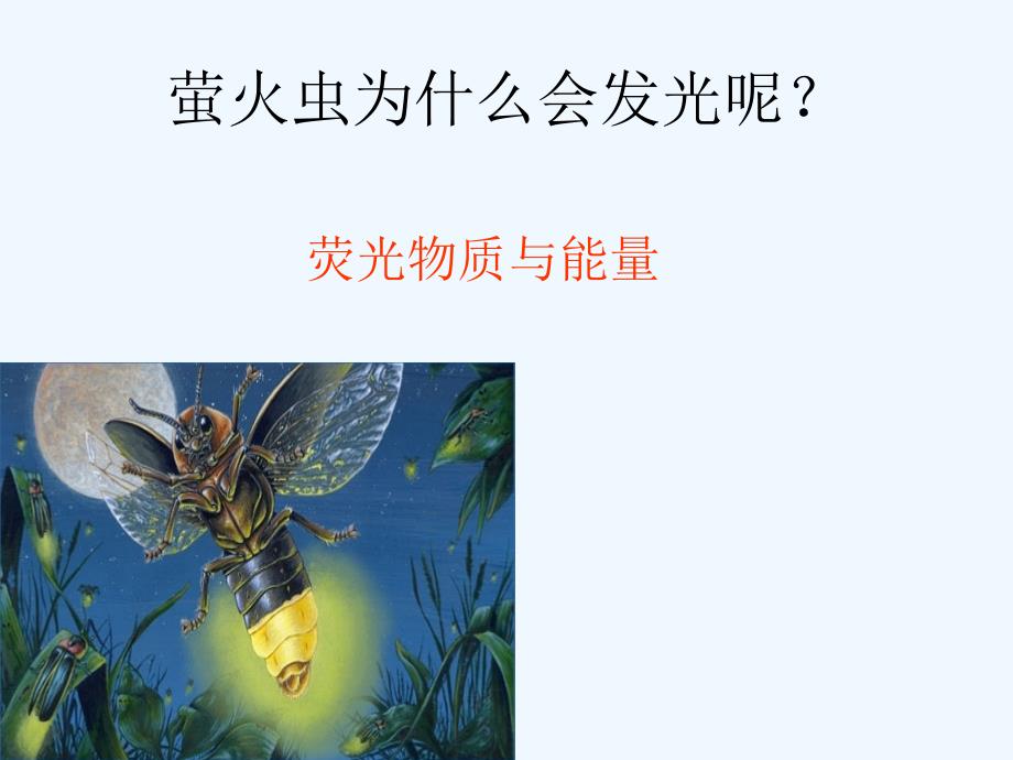 河北省南宫市奋飞中学人教版高中必修一生物课件：5.2细胞的能量“通货”—ATP_第2页