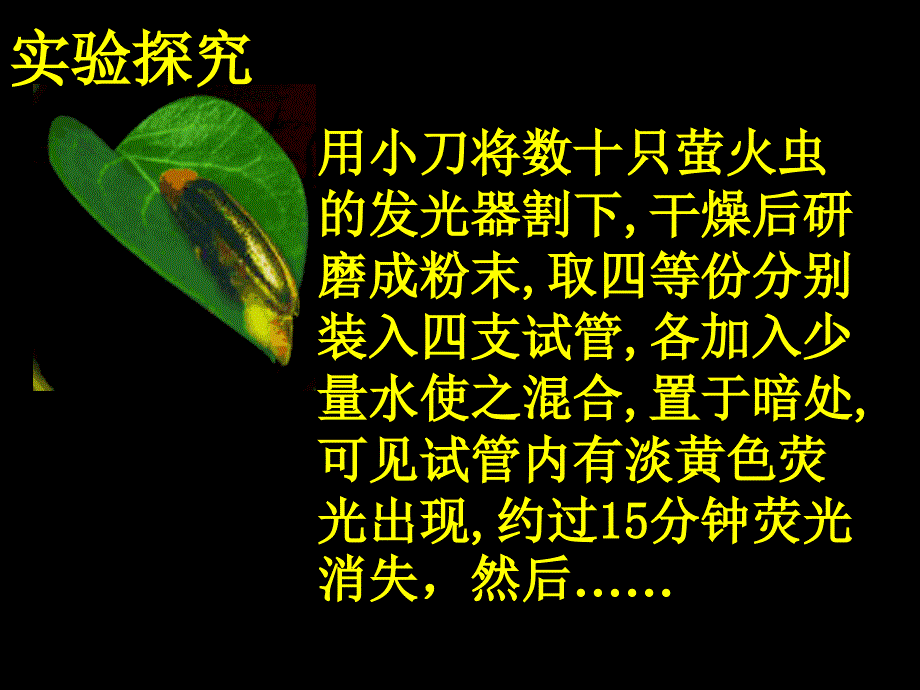 河北省南宫市奋飞中学人教版高中必修一生物课件：5.2细胞的能量“通货”—ATP_第4页