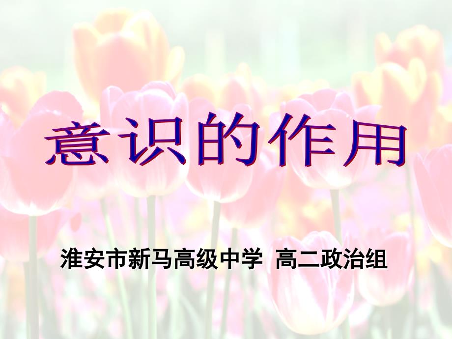 江苏省新马高级中学2016-2018学年高二政治必修四课件：第五课第二框_第3页