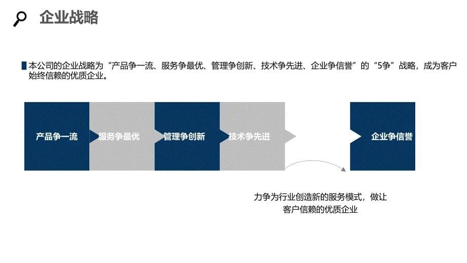 汽车电子行业战略经营方案_第5页