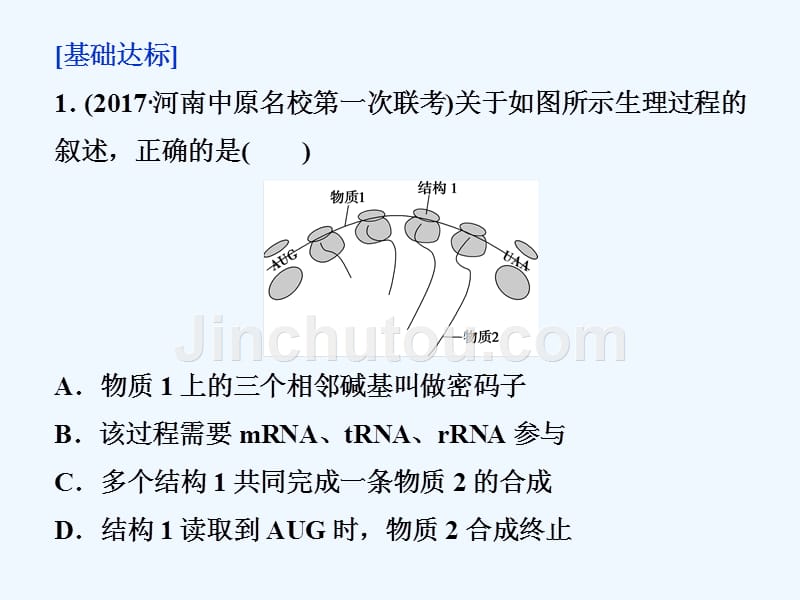 高考生物（新课标）一轮复习讲解课件：第六单元第24讲基因的表达课时作业_第2页