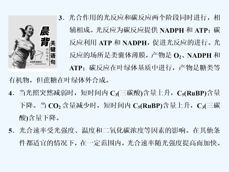 高中生物浙科版必修1课件：第三章 第五节 光合作用_第3页