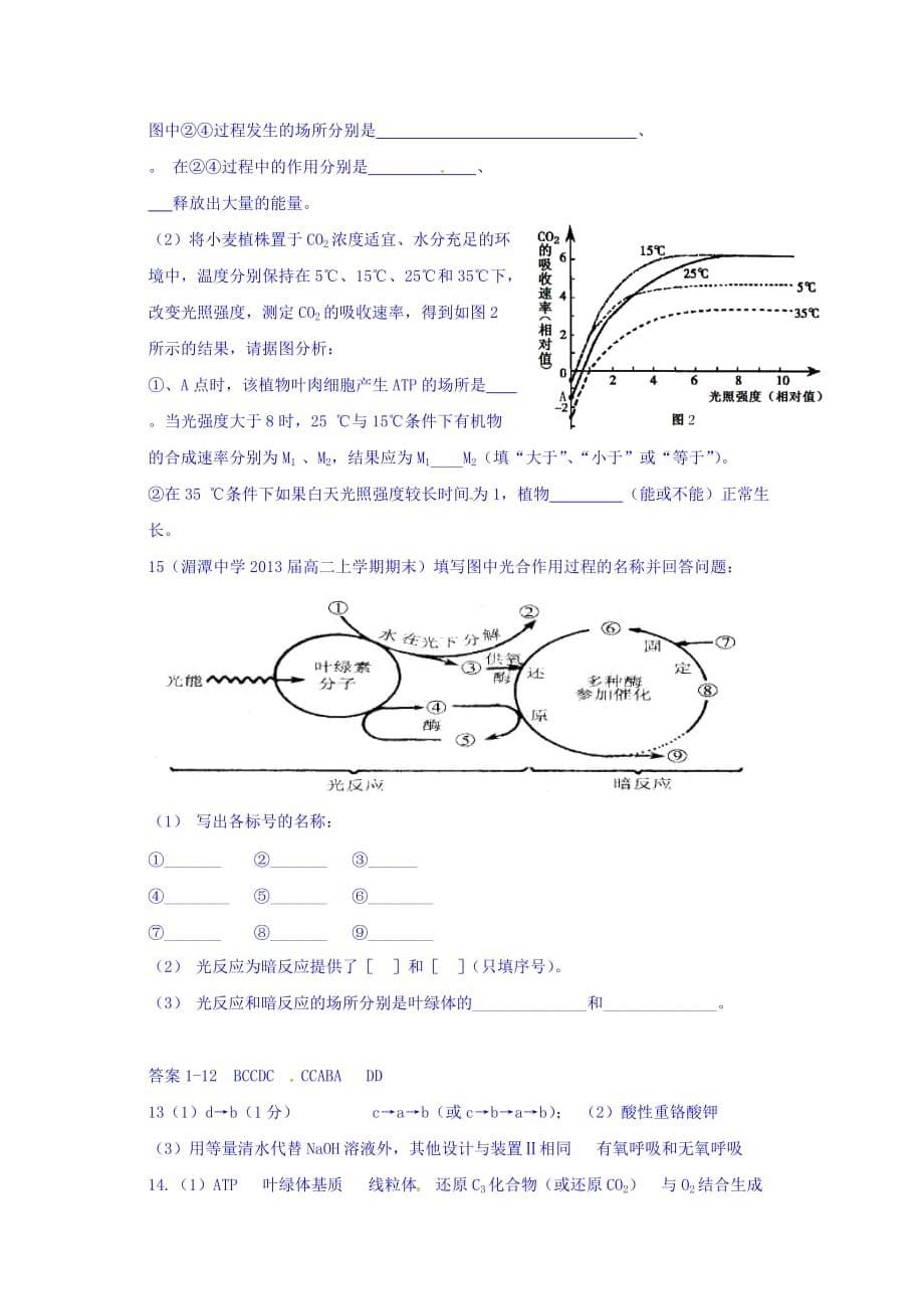 辽宁省高一上学期生物拓展训练（必修一第五章 细胞的能量供应和利用） Word版含答案_第5页