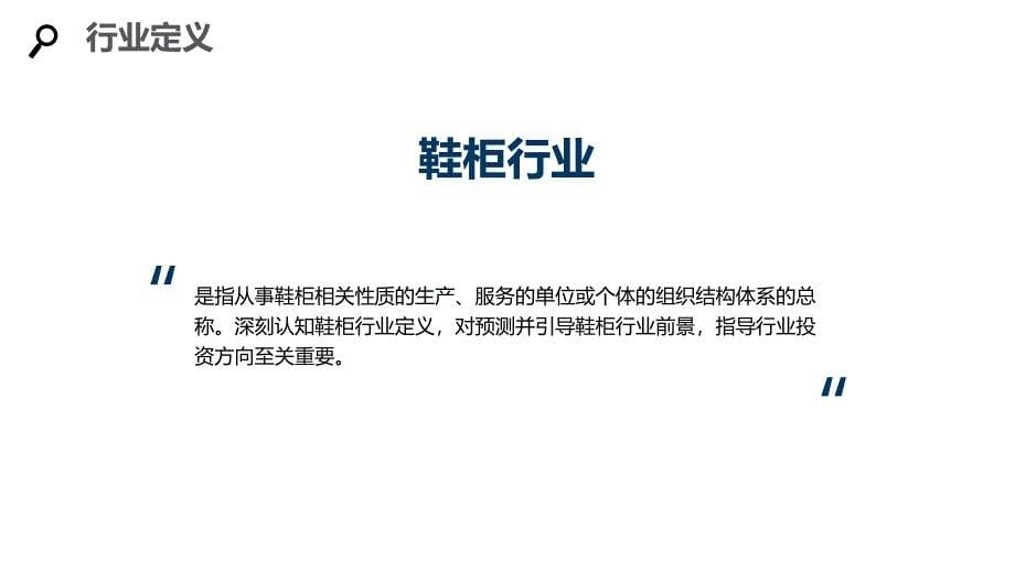 2020鞋柜行业咨询分析报告_第5页