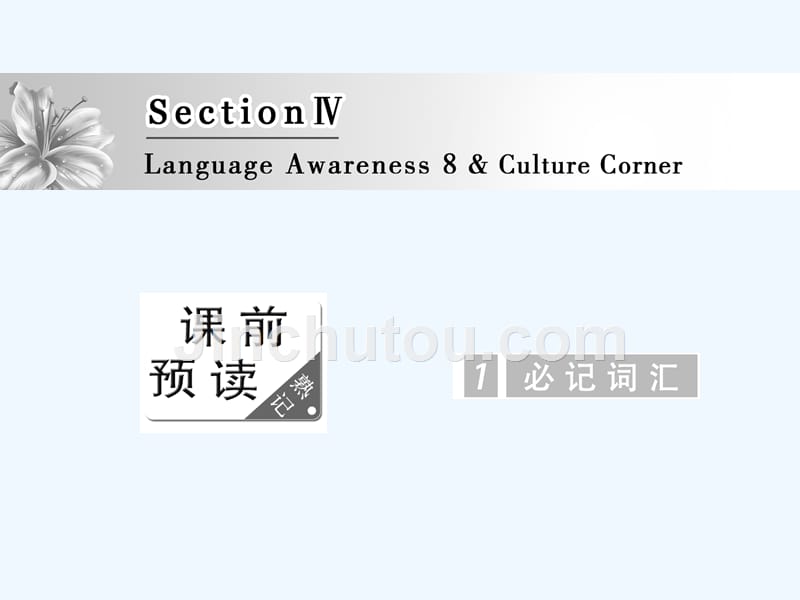 高中英语北师大版选修八课件：Unit 23 Section Ⅳ Language Awareness 8 &ampamp;amp； Culture Corner_第1页
