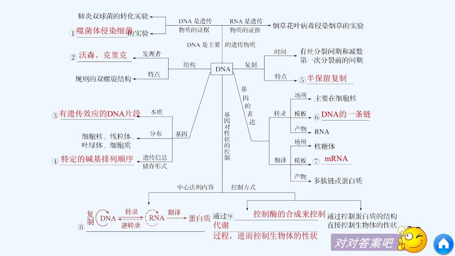 高考生物（全国通用）步步高大二轮专题复习与增分策略课件：专题六　遗传的分子基础_第4页