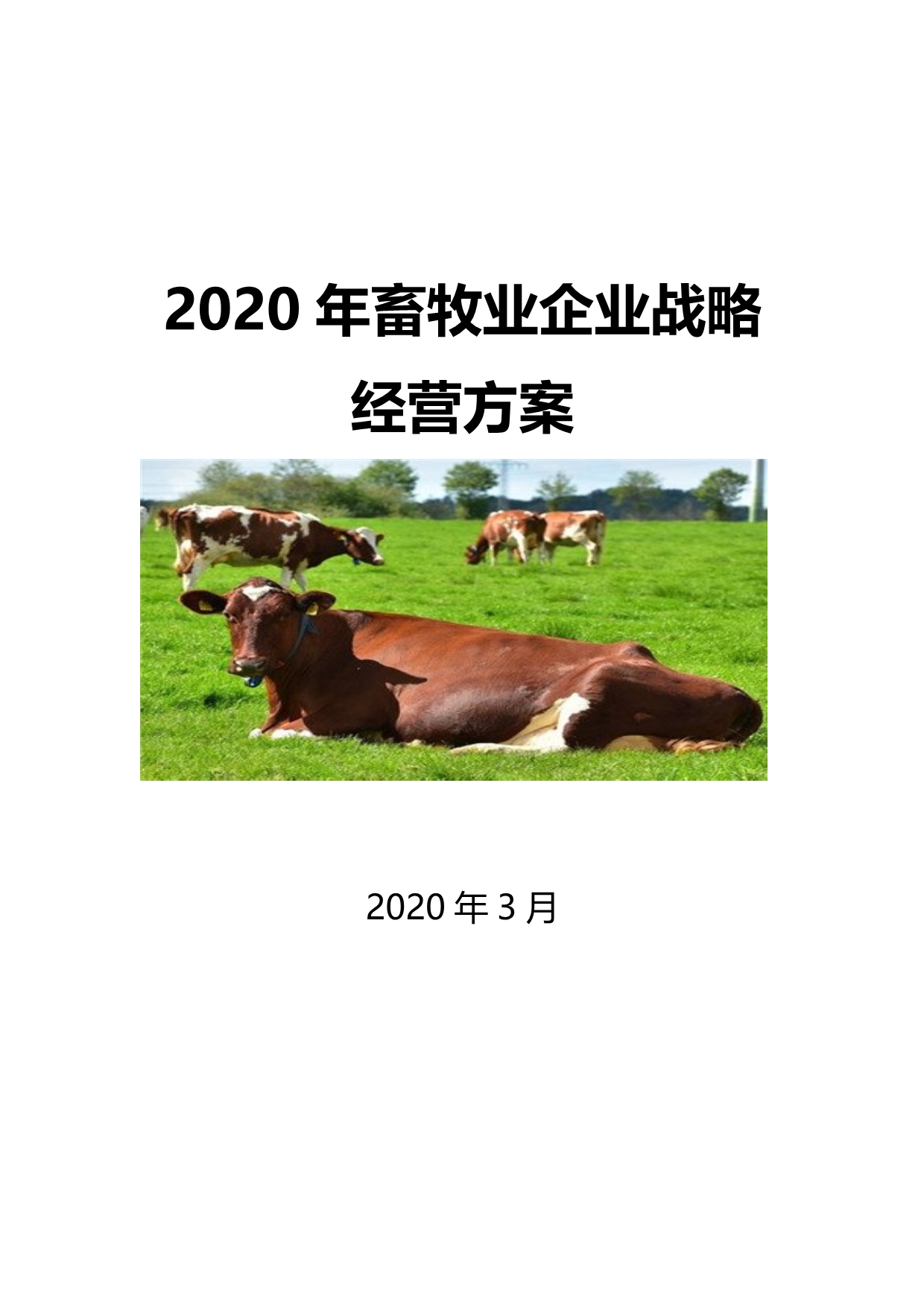 2020畜牧业行业战略经营方案_第1页