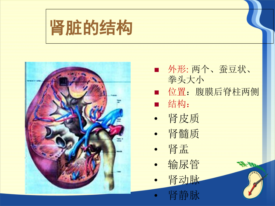 慢性肾脏病的营养治疗完整版.ppt_第3页