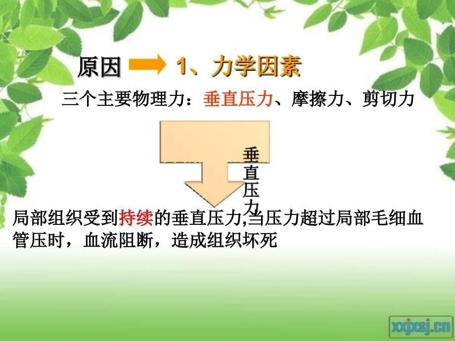 压疮的评估及护理PPT.ppt_第5页