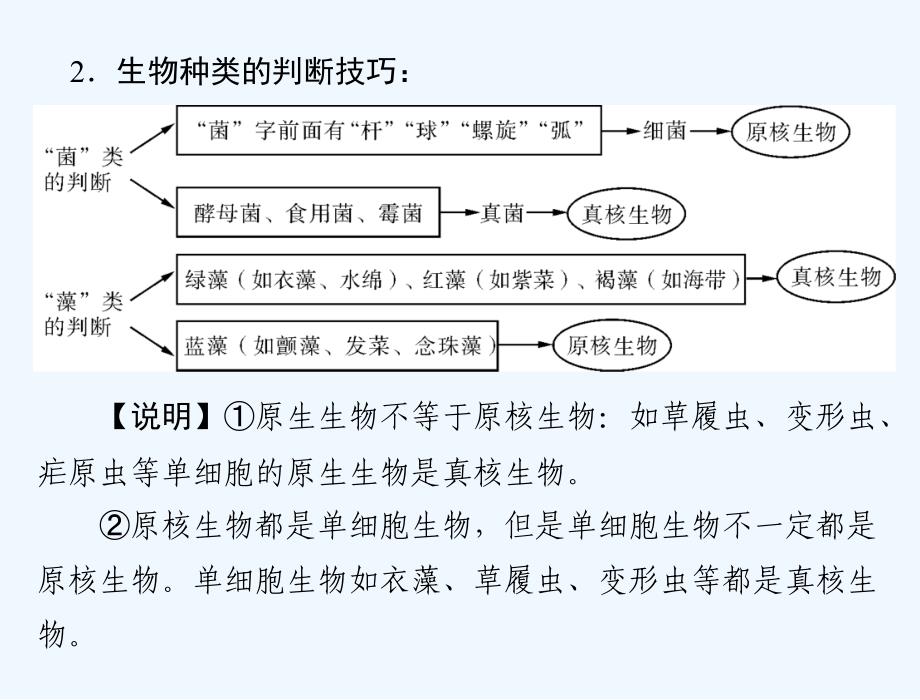 高考生物总复习（自主学案+考点突破+实验讲堂+新题预测）课件：必修1 第1章 章末知识提升【配套课件】_第4页