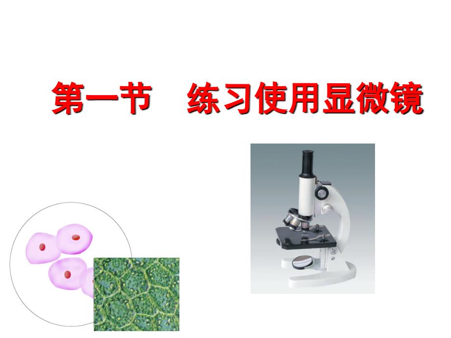 济南版生物学的研究工具第一课时_第1页