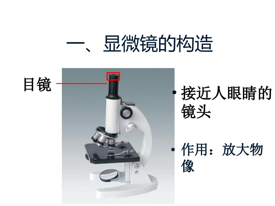 济南版生物学的研究工具第一课时_第3页