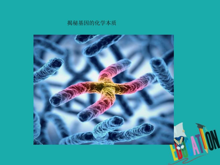 2019-2020学年高中生物人教版必修二课件：第3章基因的本质3.1DNA是主要的遗传物质_第2页