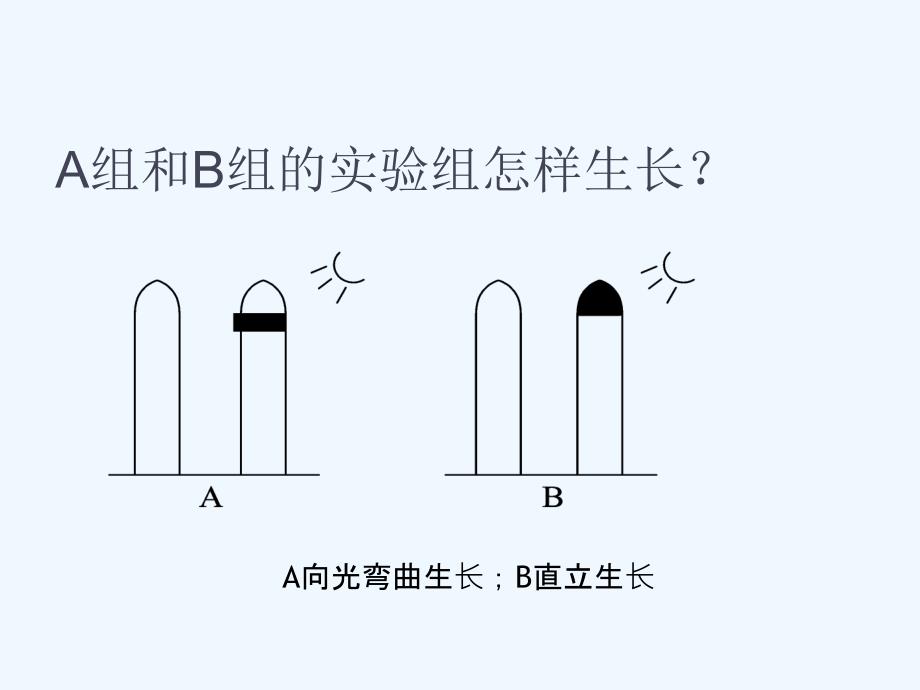 江苏省2018届高考生物一轮复习课件：专题十植物的激素调节 （共16张PPT）_第4页