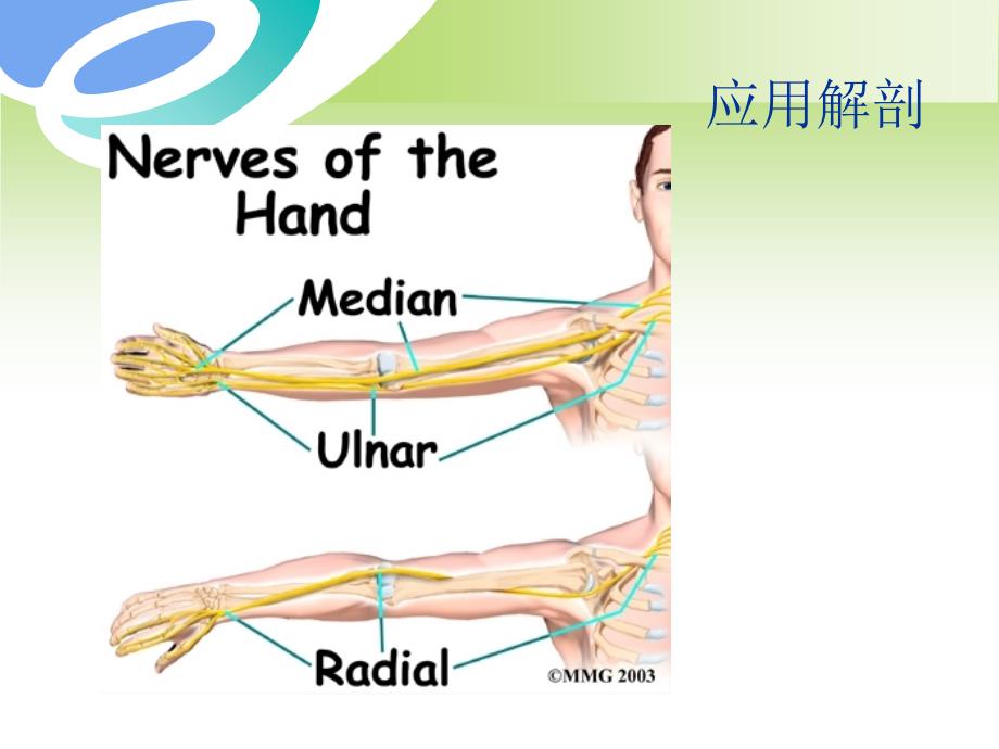 旋前圆肌综合症ppt课件.ppt_第4页