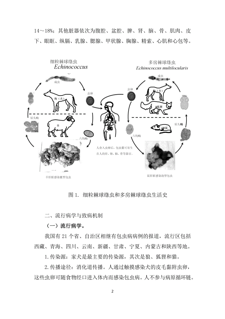 【医疗管理】：包虫病诊疗方案_第2页