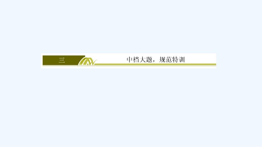 高三理科数学二轮复习课件：模块三 考前增分篇3-3-3_第2页