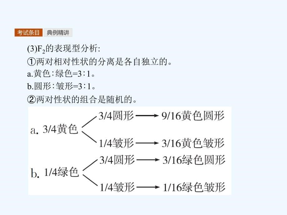 高三生物（浙江专版）二轮复习课件：11自由组合定律_第5页