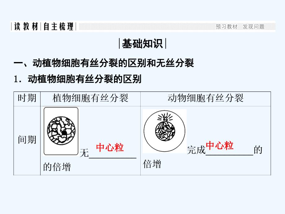 高中生物人教版必修一课件：6.1.2 动植物细胞有丝分裂的区别和相关曲线_第2页