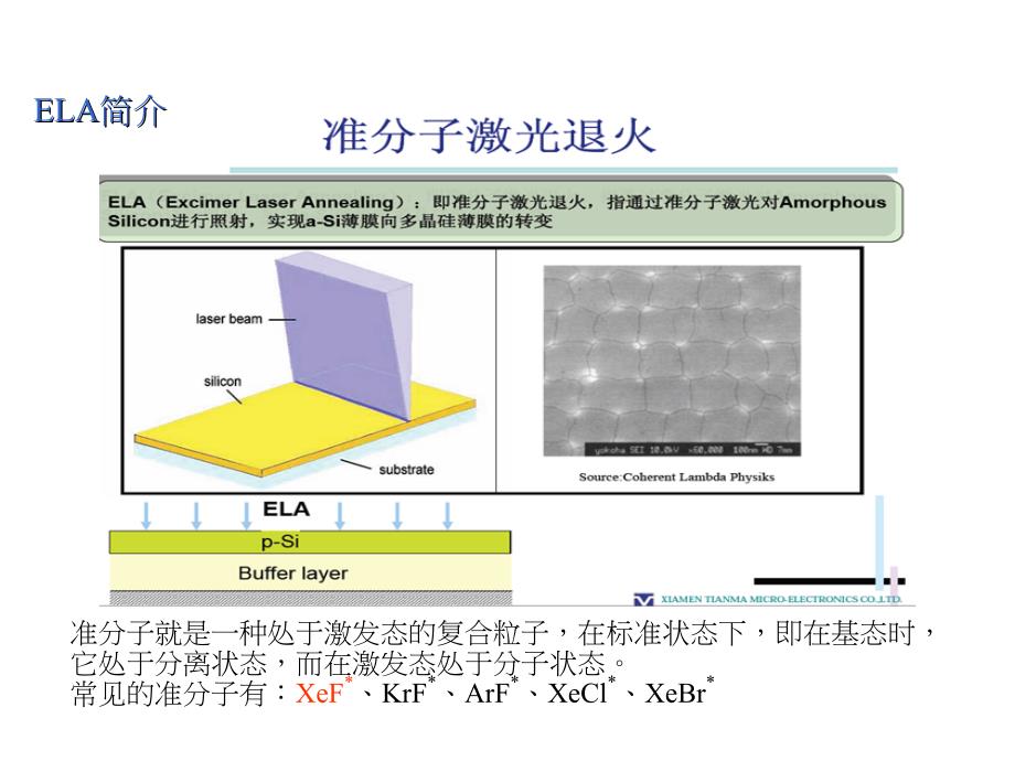 ELA基础介绍.ppt_第3页