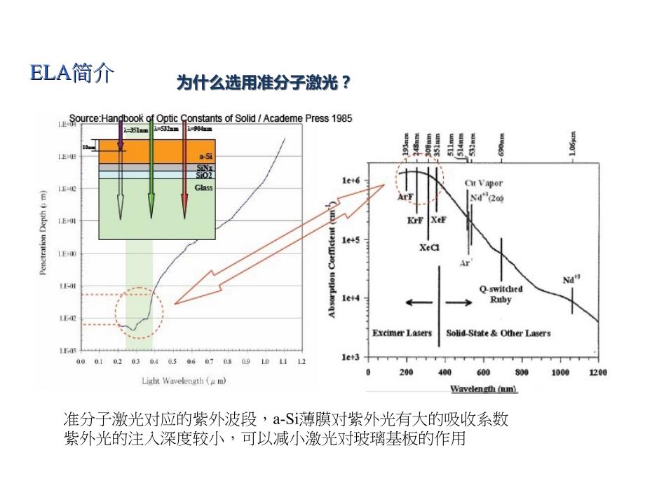 ELA基础介绍.ppt_第4页