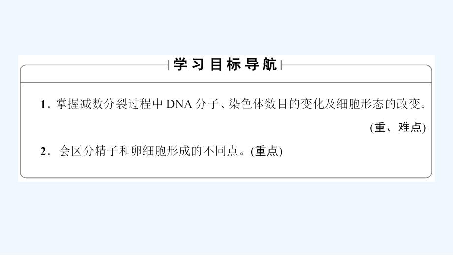 高中生物人教版必修二课件：第2章 第1节 减数分裂和受精作用（Ⅰ）_第2页