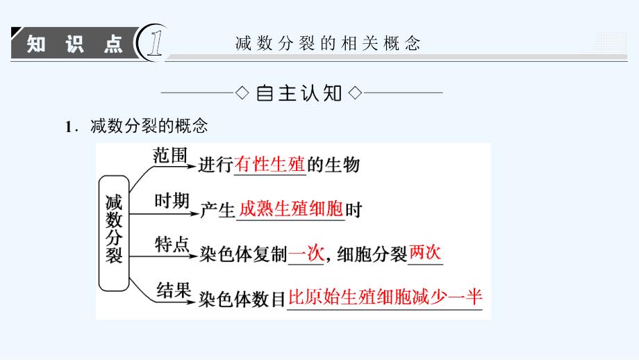 高中生物人教版必修二课件：第2章 第1节 减数分裂和受精作用（Ⅰ）_第3页